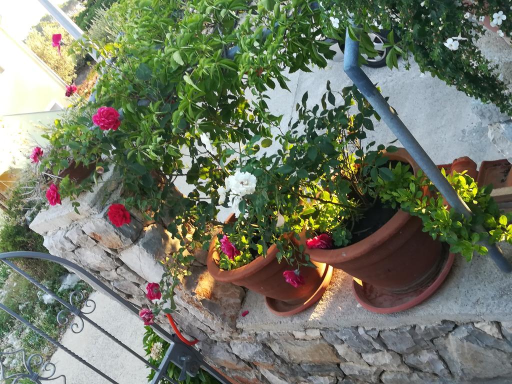 Apartment Neno - Terrace & Parking Veli Losinj Exterior photo
