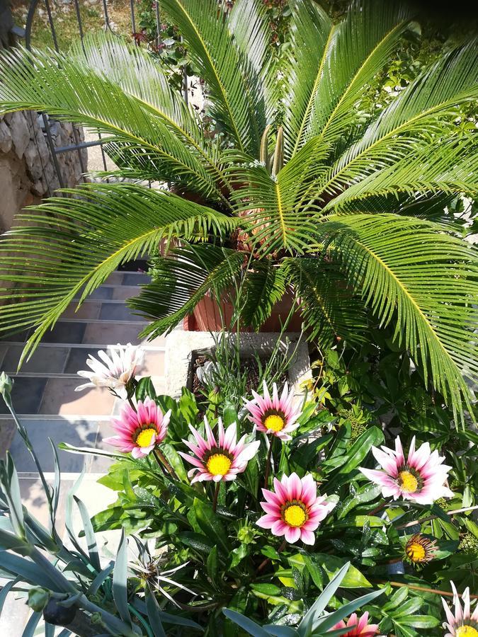 Apartment Neno - Terrace & Parking Veli Losinj Exterior photo