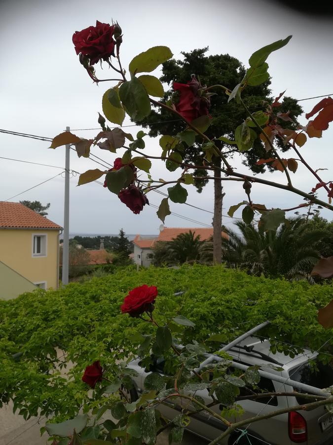 Apartment Neno - Terrace & Parking Veli Losinj Exterior photo