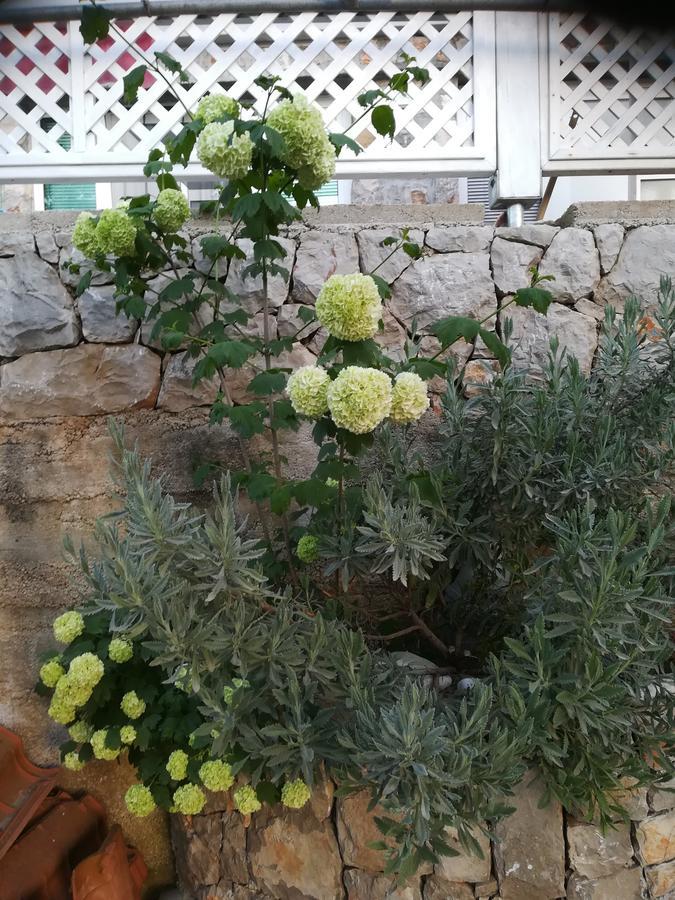 Apartment Neno - Terrace & Parking Veli Losinj Exterior photo
